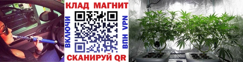 Где продают наркотики Котельнич Гашиш Кокаин Alpha PVP МЕФ