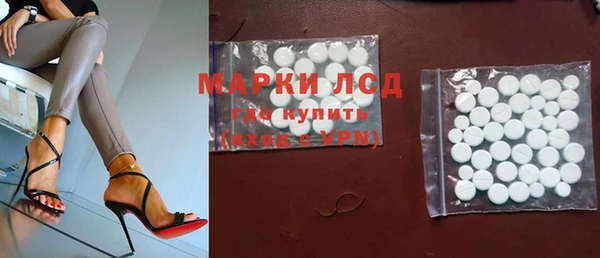 стаф Абинск