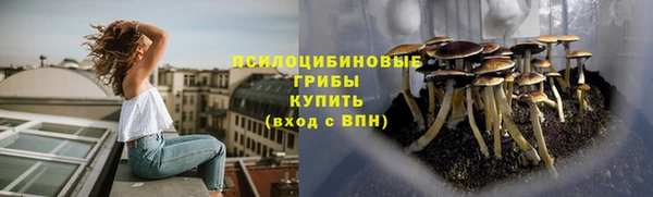 ПСИЛОЦИБИНОВЫЕ ГРИБЫ Алексеевка