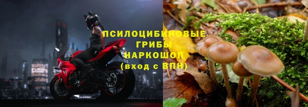 ALPHA PVP Алзамай